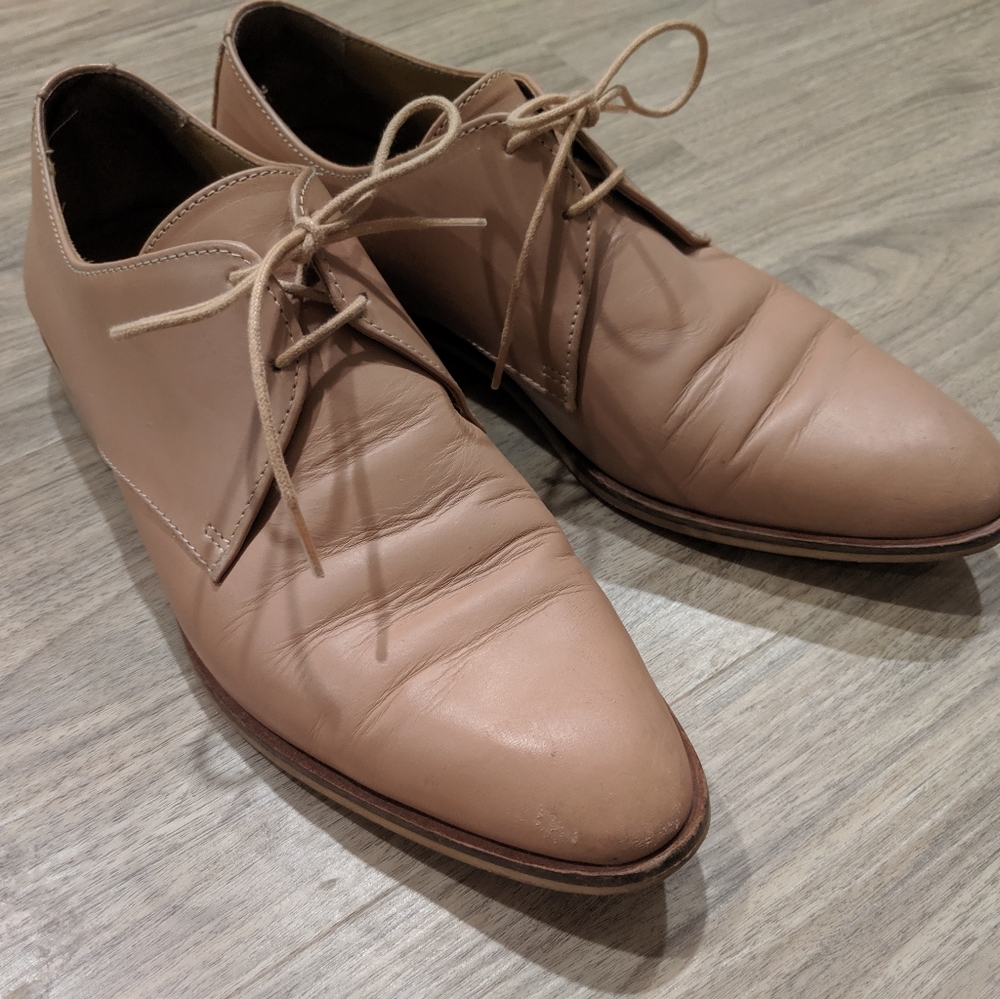 Everlane the modern oxford